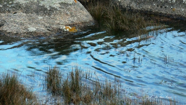 Tregastel maree montante